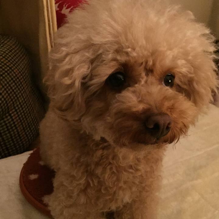 2f57de74 ce40 4563 b931 a991c807e02b