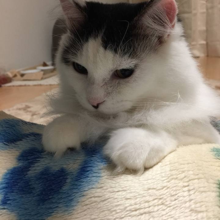 2f57e7c6 46f4 438a acbb 847508831bfa