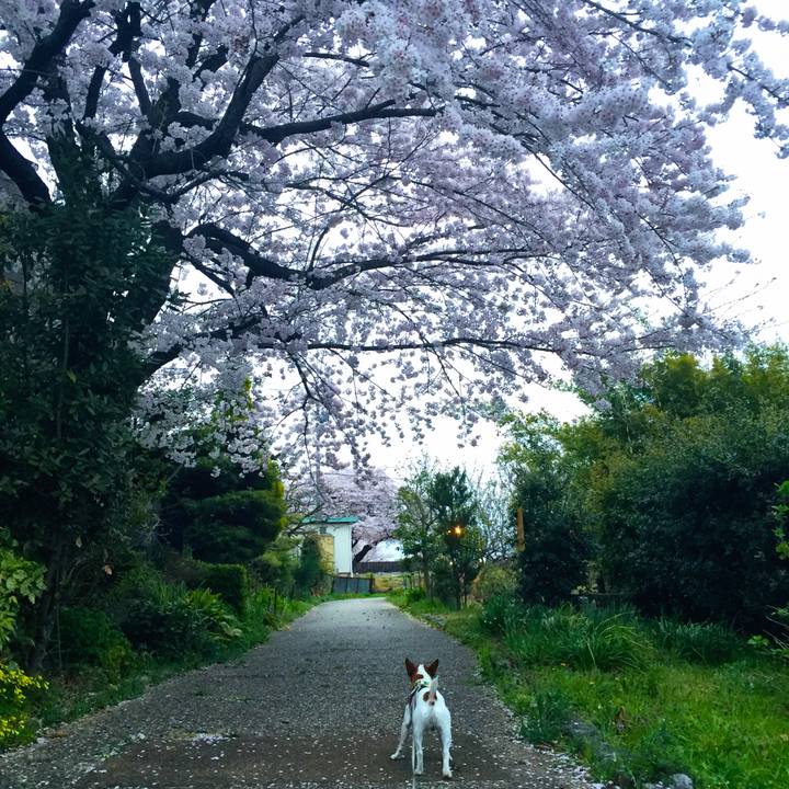 2f5869ec c50f 4f06 bd77 4b715fe53d7d