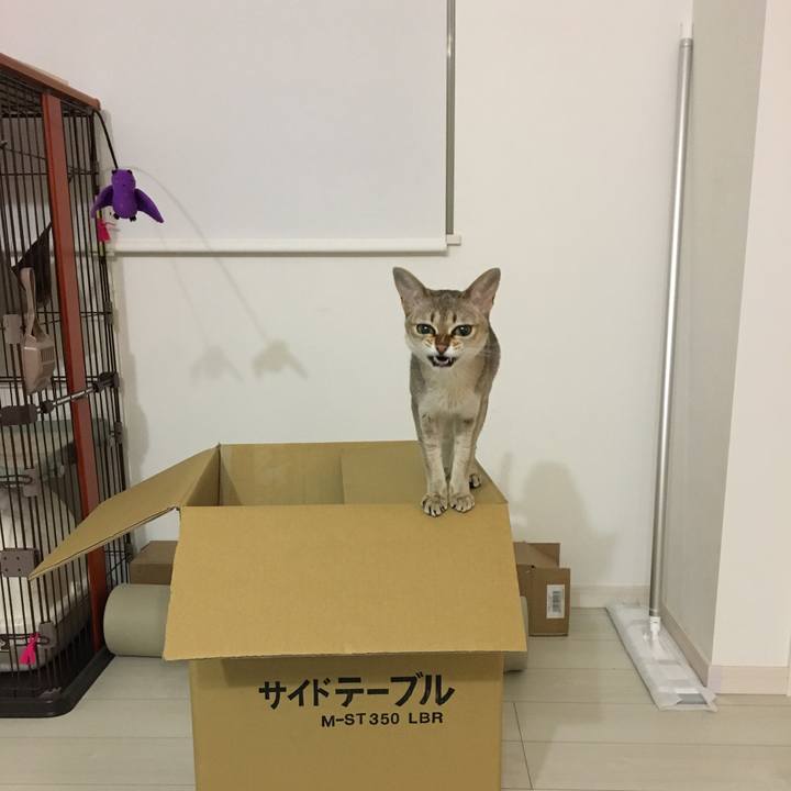 2f5941d5 12b3 4de8 8bd1 b909bd7b7498