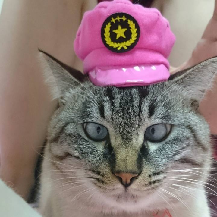 2f596c31 5b3e 492a b92b e7de2b2a11d9