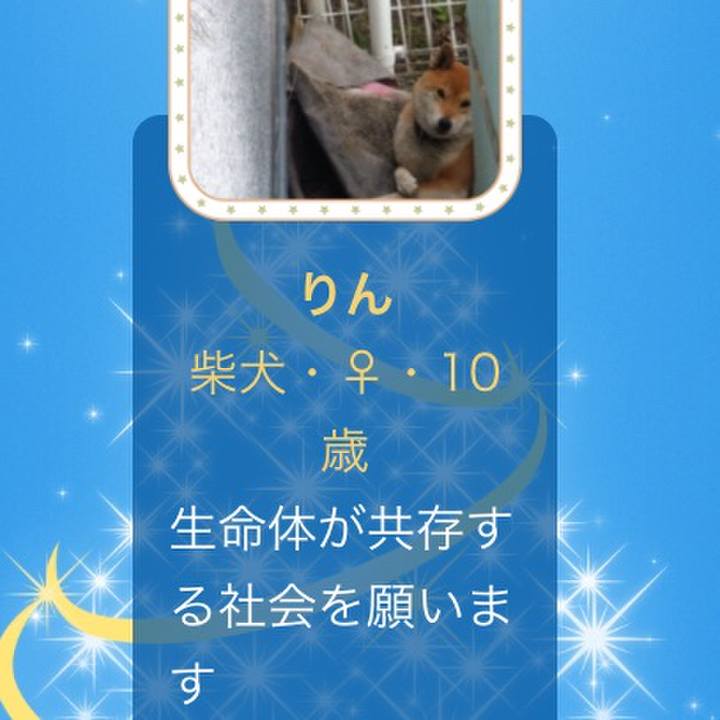 2f597942 838c 49b4 9235 5efe888be072