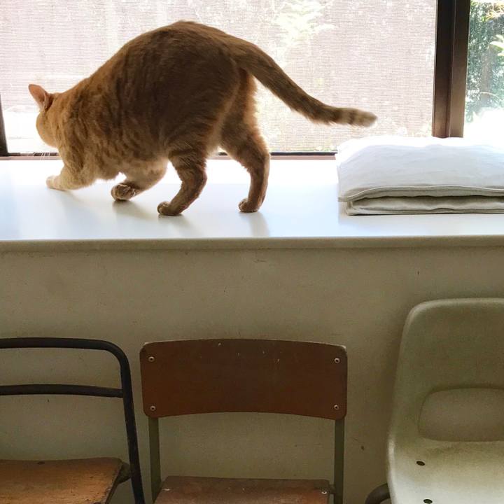 2f597a23 fce9 4ddb 82b9 0d8995f1e2ac