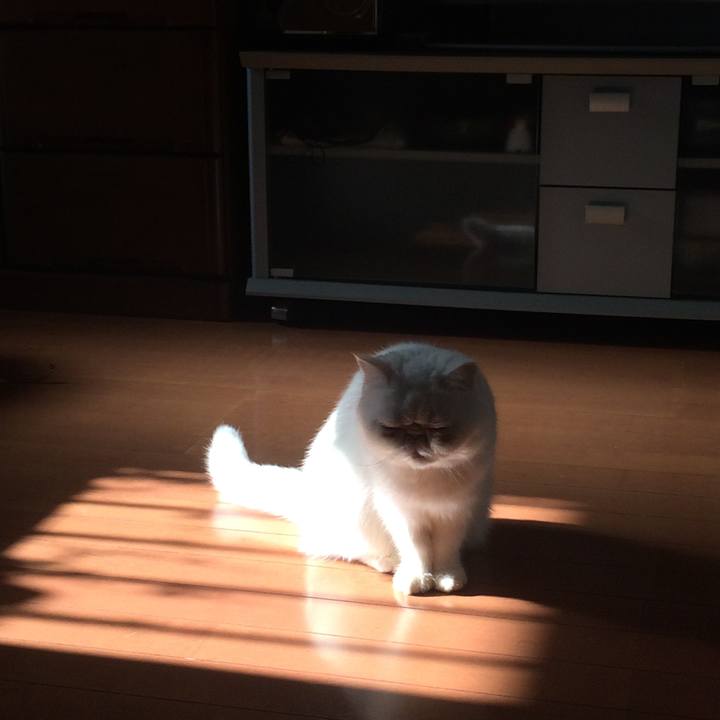 2f59d010 7c58 4bab 82cc 1fe9cd48dc17