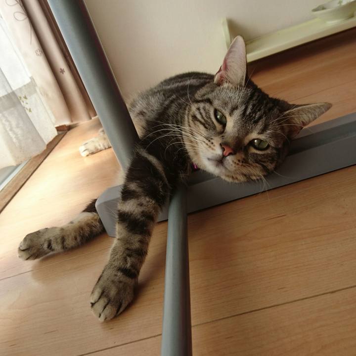 2f59e015 ae1b 4004 8c8f 140368e71a66