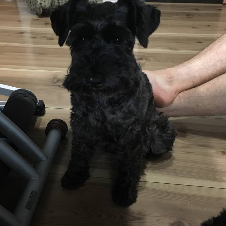 2f59e2c9 0c05 4e84 a56f a9c5ba4f1a8a