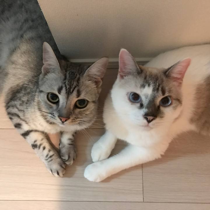 2f5a0c6f 2028 4b94 91bf add6baee4046