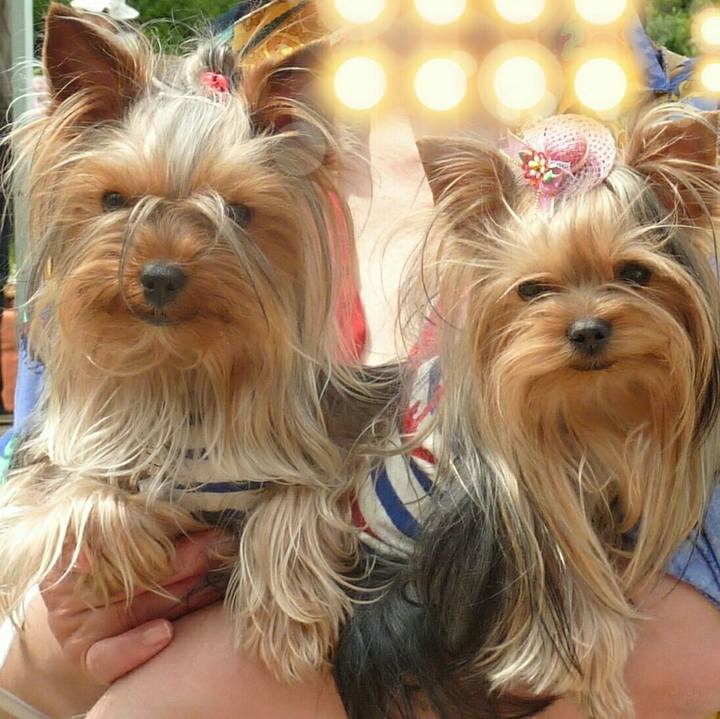 2f5a35fe c4ec 48d5 b5f0 e2230c2a6590