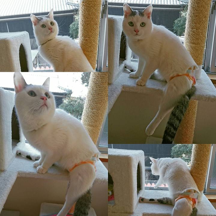 2f5a87f5 bd54 4131 838d 19359d00c0d7