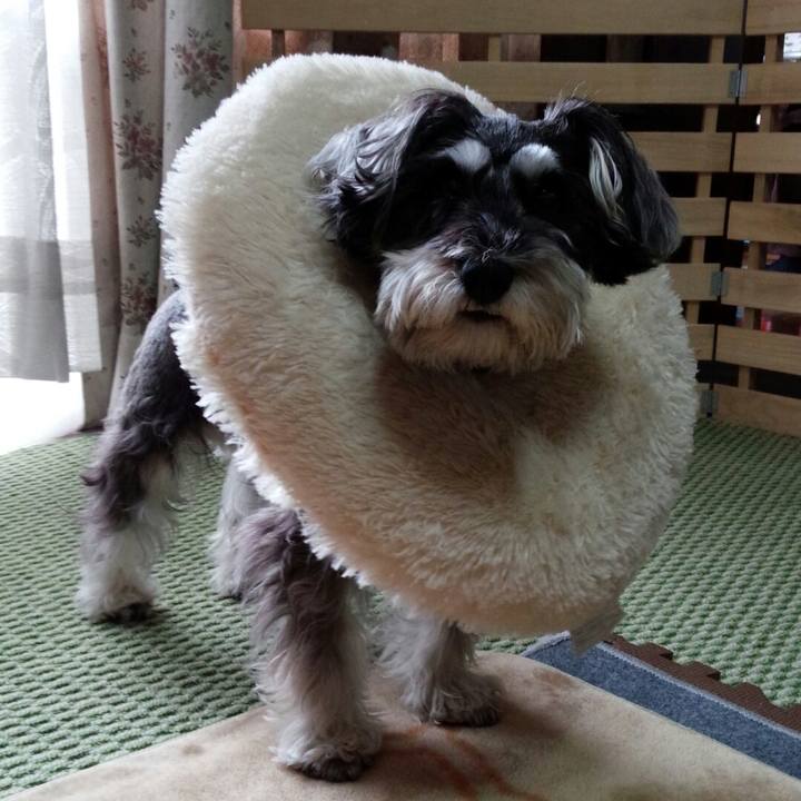 2f5a9227 ee64 47b5 8e8e bb4e60af134c