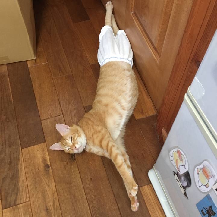 2f5b89df d7af 4cdd 8c5a e2bd2b7e072c