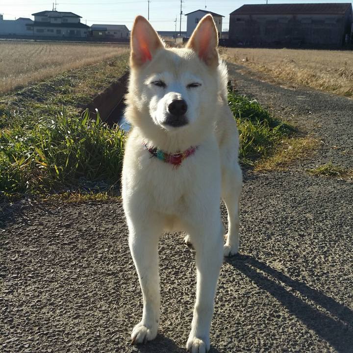 2f5b8bf9 2d3d 4fb0 8f9c d36f65358360