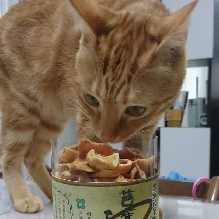 2f5ba8de 0d1d 4a4b a0e3 02a0158a8e33