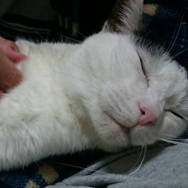 2f5c63bb da4c 4f88 8f0b fc349fab827a