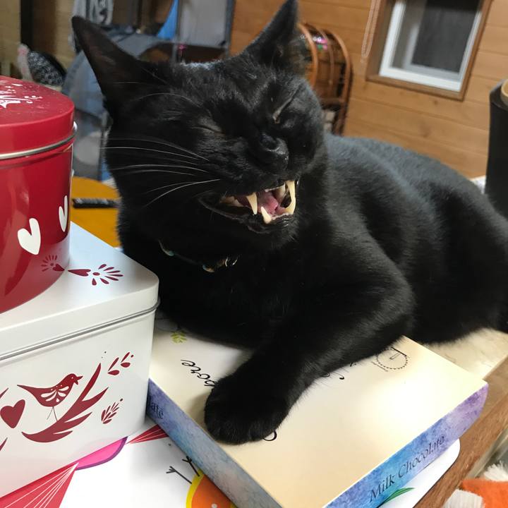 2f5c6481 9112 45de b37c dafa7fe5a0c5