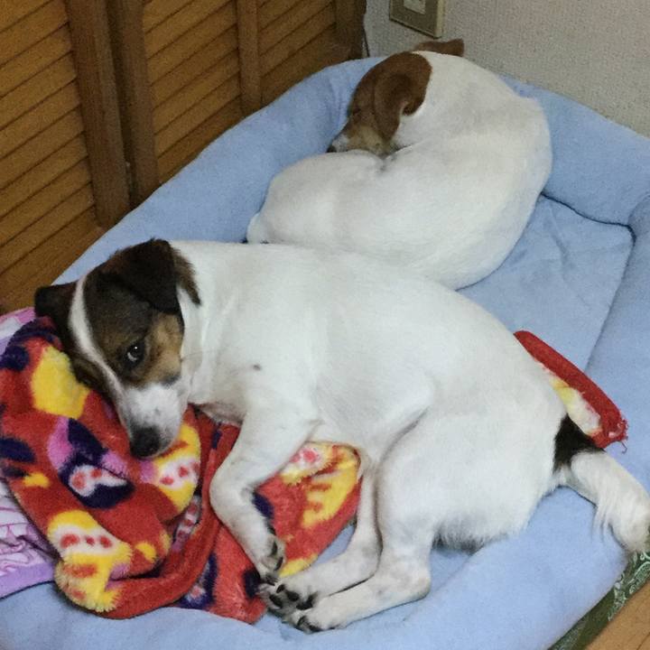 2f5d91e3 c9ca 4a86 8985 ec10fa246791