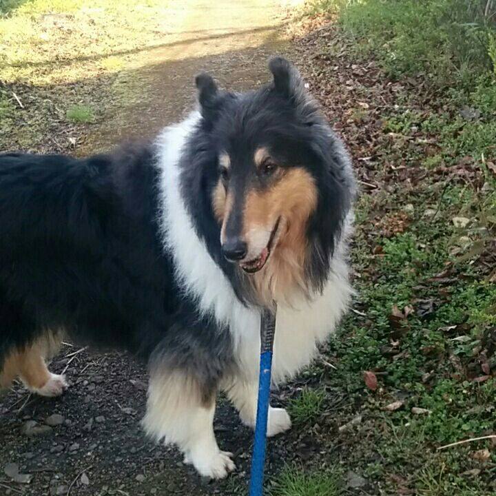 2f5d9a2a c3ca 4b7a 8fc2 e9555ad446c3