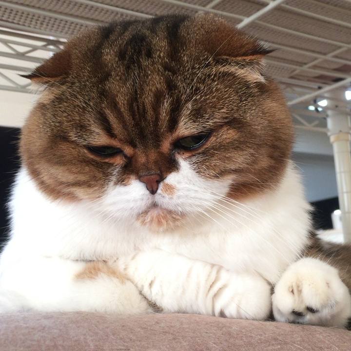 2f5e7293 198e 43a0 91bb bf2ff824badd