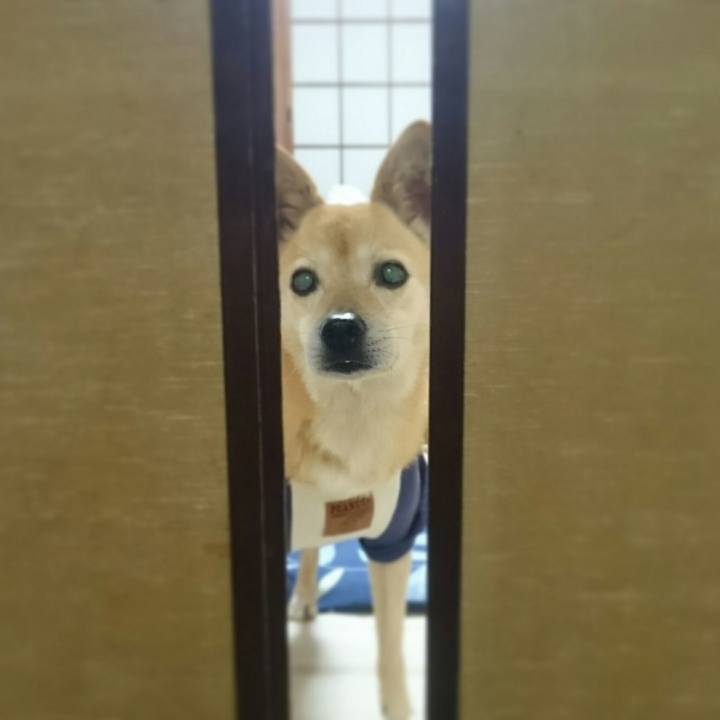 2f5e9fcd 5ed4 4d52 8609 0722a557b59e