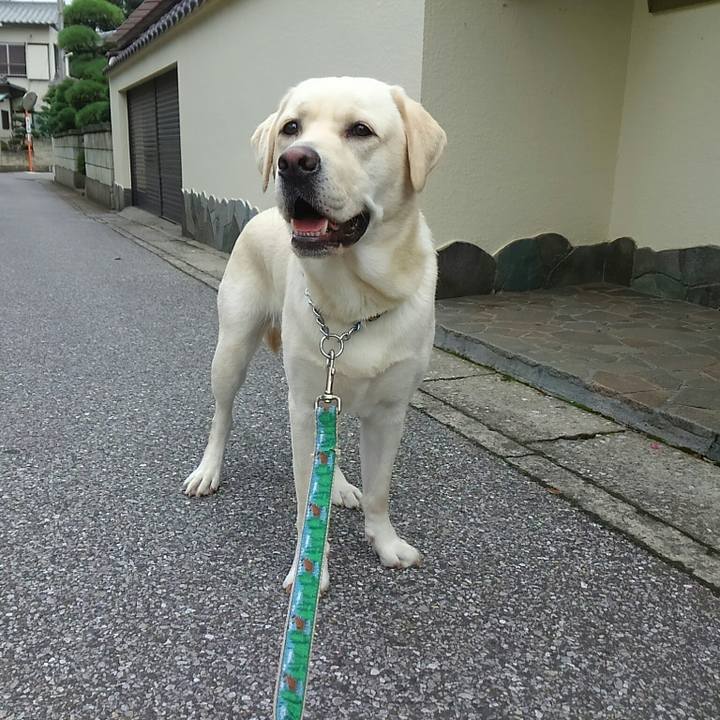 2f5ec63d 5ee0 46fe 85b6 7a29725de4d1