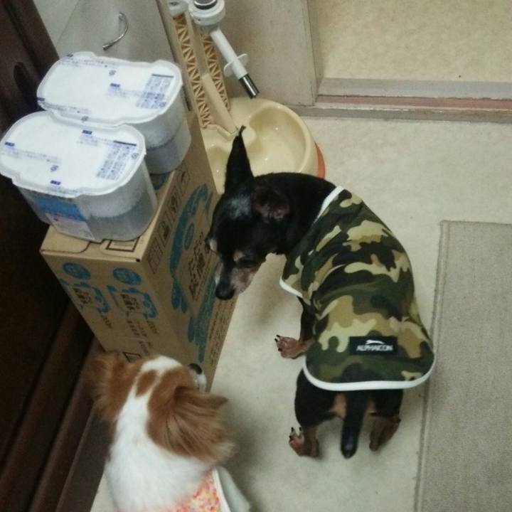 2f5f3553 47bf 42b7 9f2f e27c4c074037