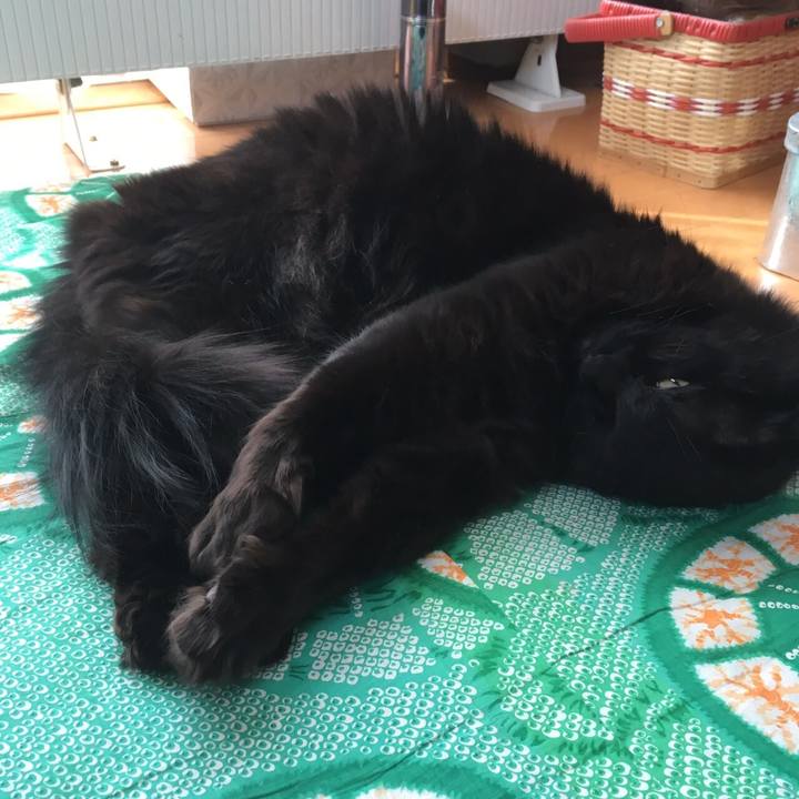 2f5f7263 f069 48d5 9f70 a13c2346998a