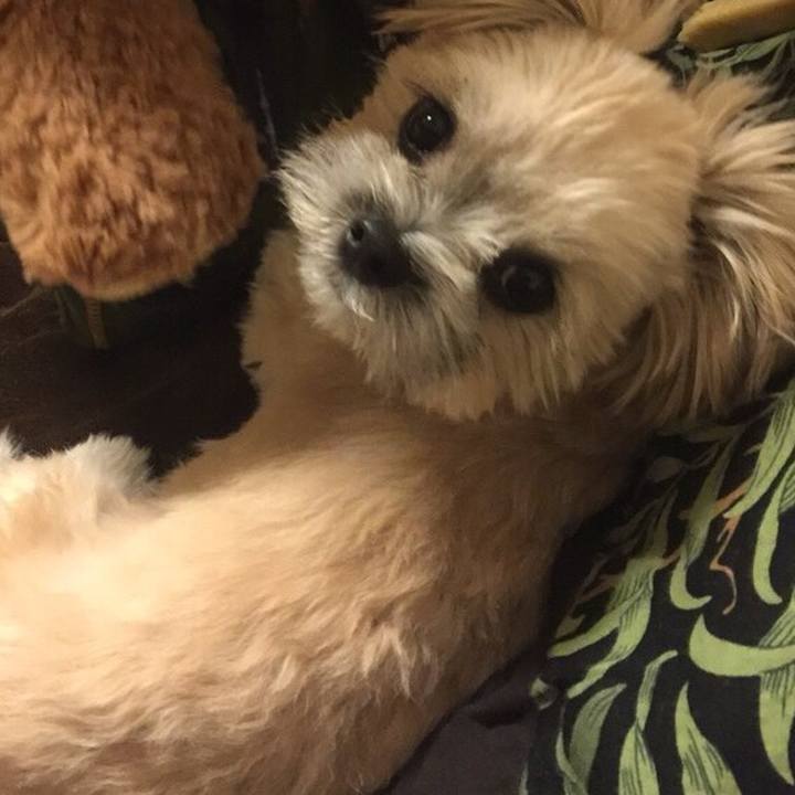 2f5f7661 5b27 49c3 9d60 966ab1c6bf8b