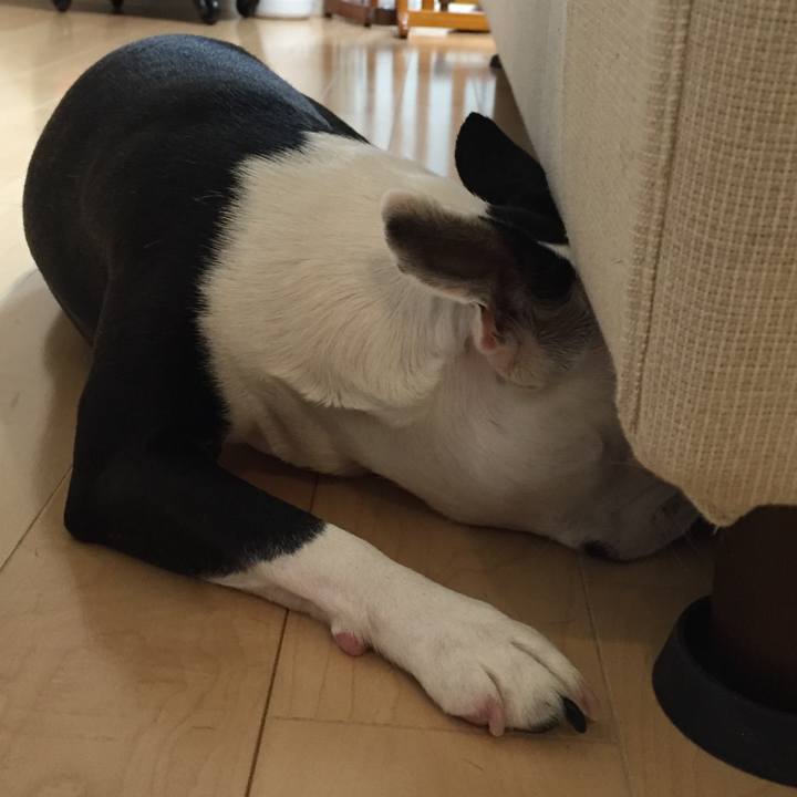 2f5f85fb 4ff4 4610 81d6 4345c0155780