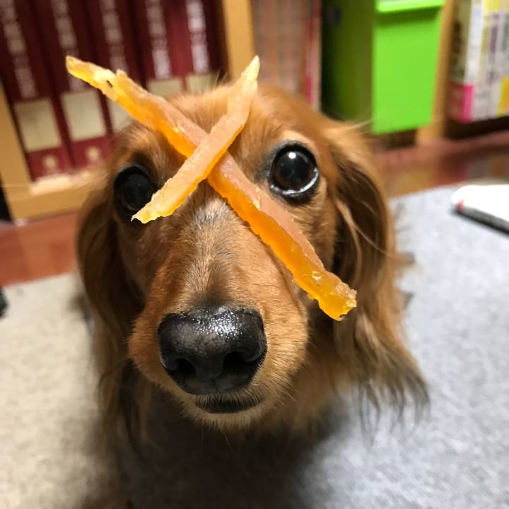 2f602afe 18c0 4198 9f9c 7c602f432bcd