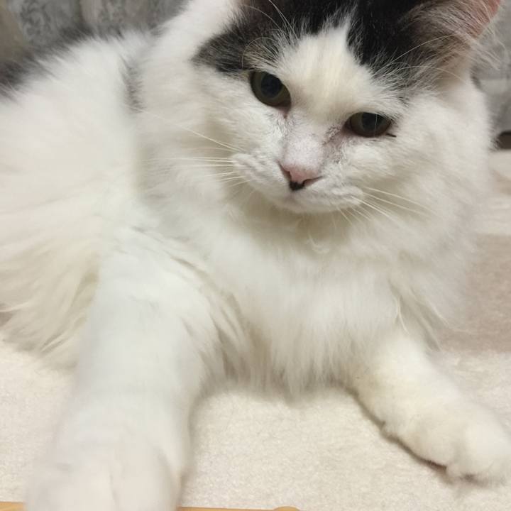 2f61b170 5969 41a0 bca6 1fd237d34ac8