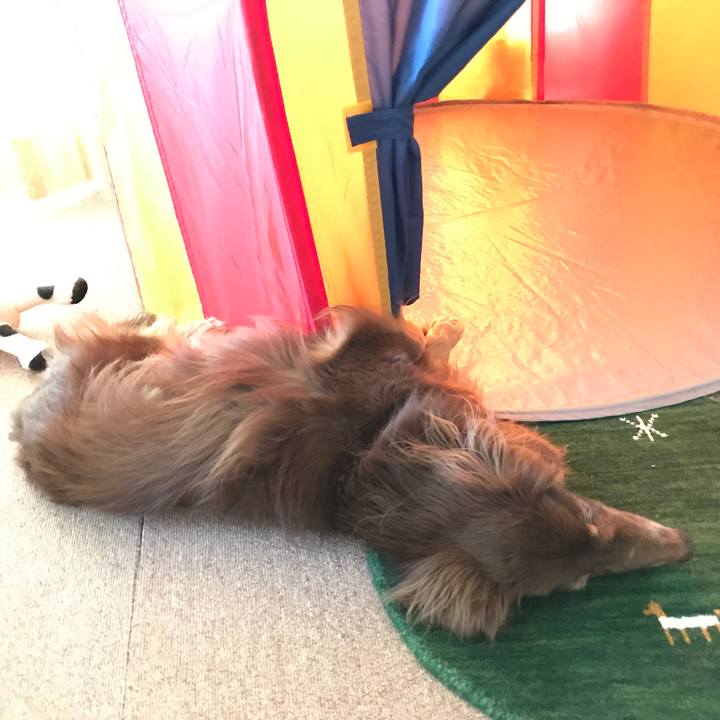 2f61d8ba 0009 4fbc b34e 3ca8b8c9da75