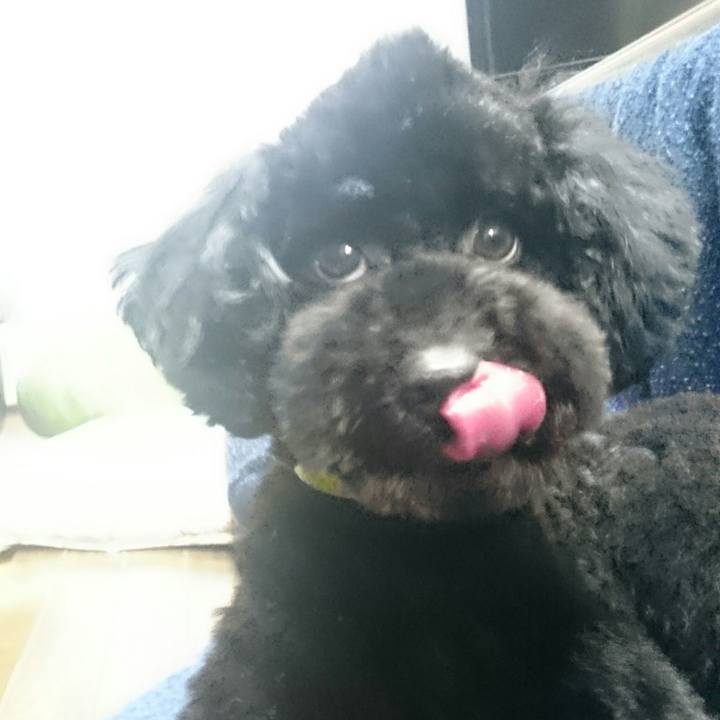 2f6247c7 a05f 4137 b1d7 6ea37dc9d78b