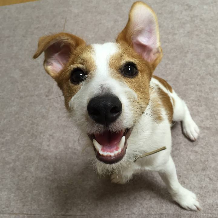 2f6284e1 ffe5 4798 8292 5bed3675b8b6