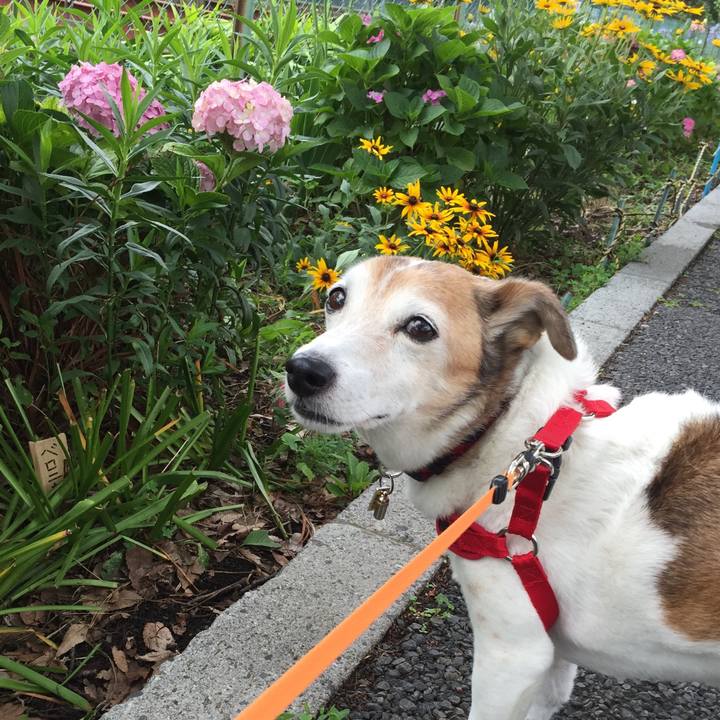 2f62ff38 2883 4344 942a b6596ef28fde