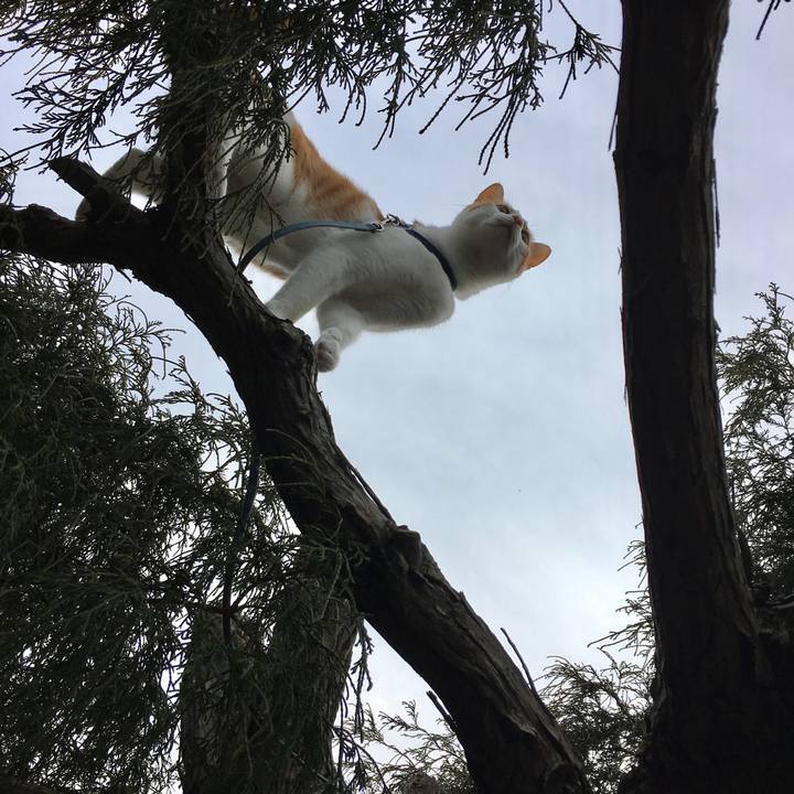 2f6318d5 15a3 42b0 9908 7f93004b8638