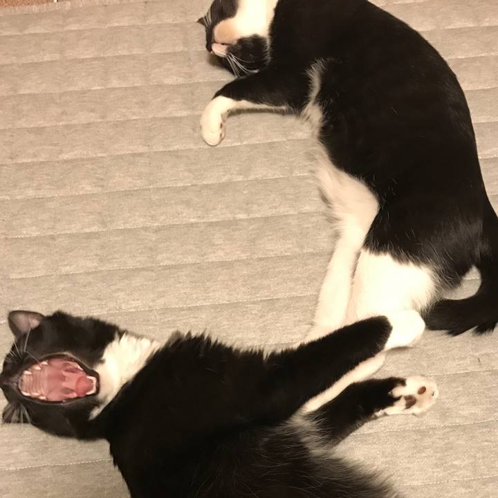 2f633061 f7d4 473f b0d0 d8b415bb4f7c