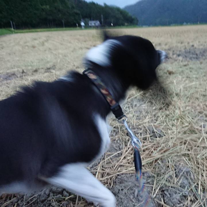 2f635972 2702 446b b5b8 ca2225703c6a