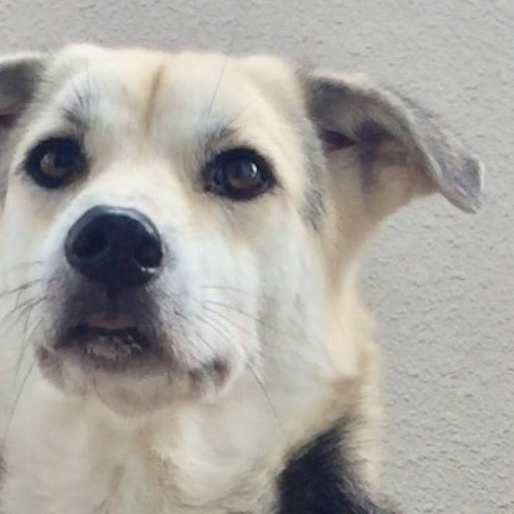 2f6370e1 82e1 4acf a00c e6a547efd96f