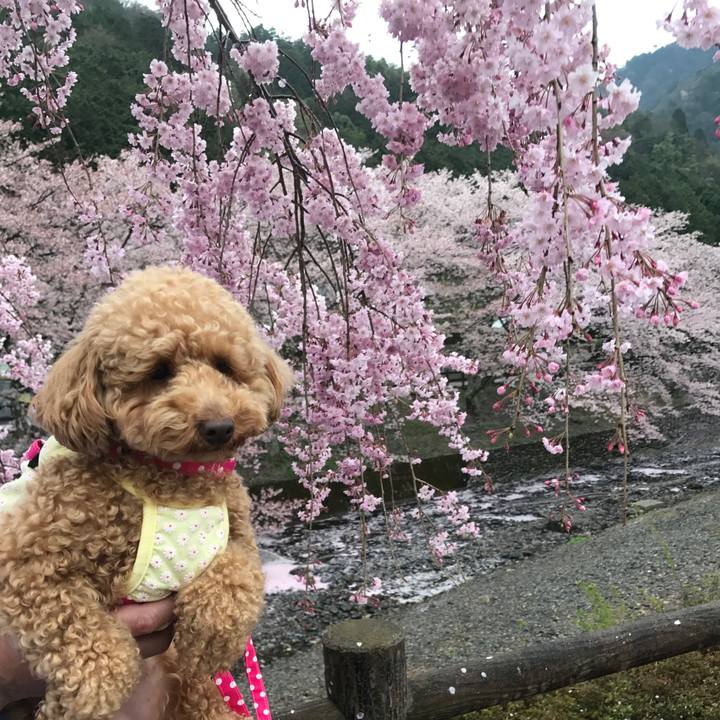 2f639364 a8d3 4896 a28f 93af6397dfdd