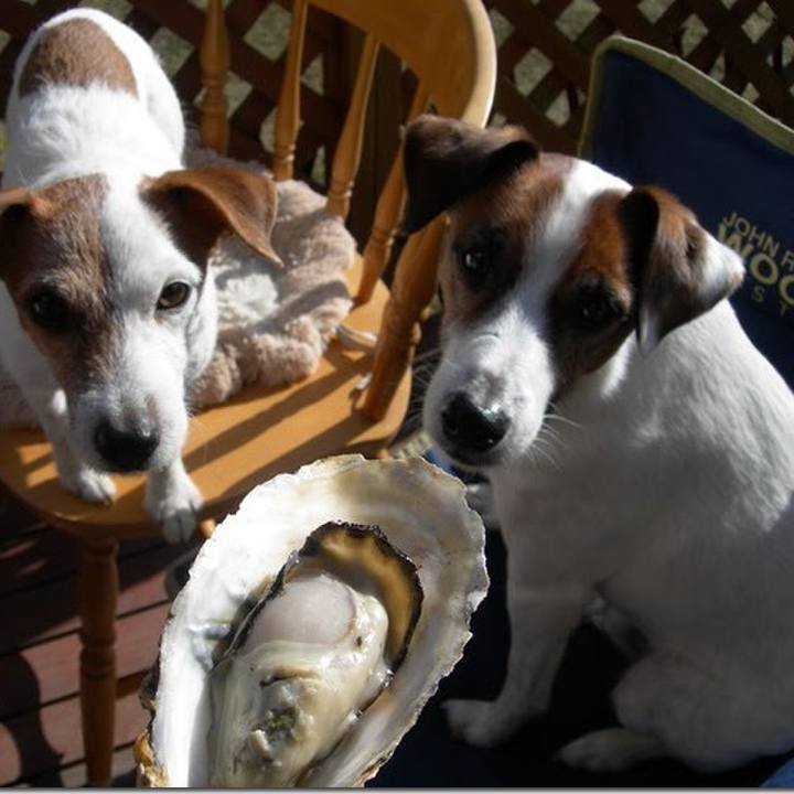 2f63cb67 bfda 4dcf 9d88 a803bed17d07