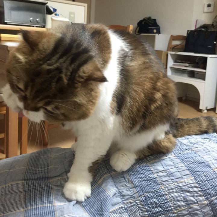 2f6408bf b2d9 44ca b937 a86c60672269