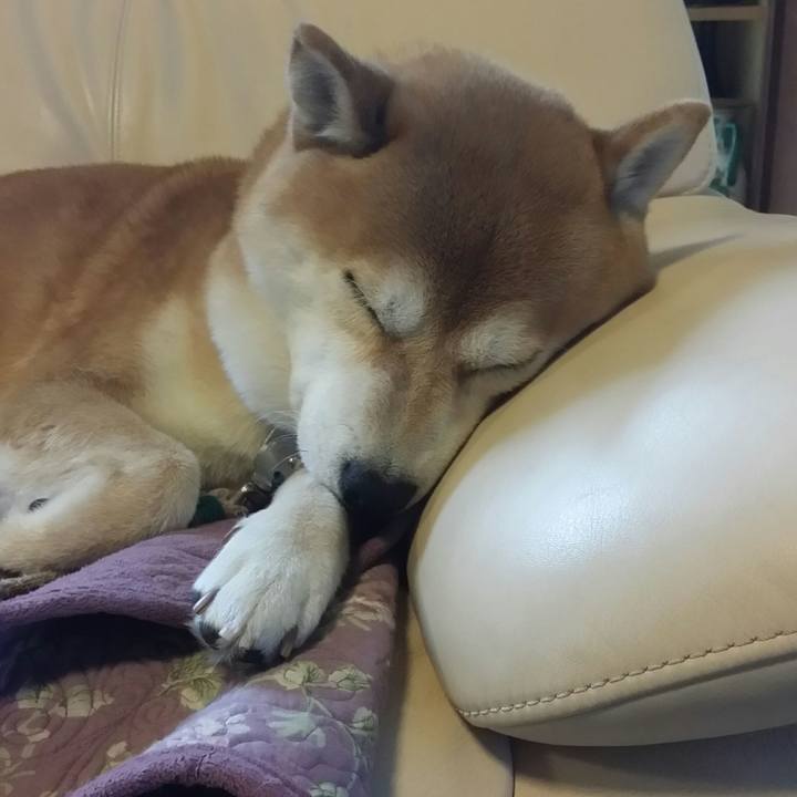 2f6462ac 9dc5 4a0c 914c efd05c006fa0