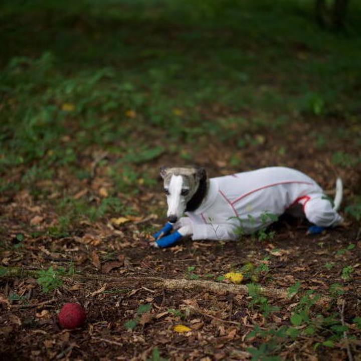 2f658a72 8faa 44c6 a9e9 3cffc4ef2320