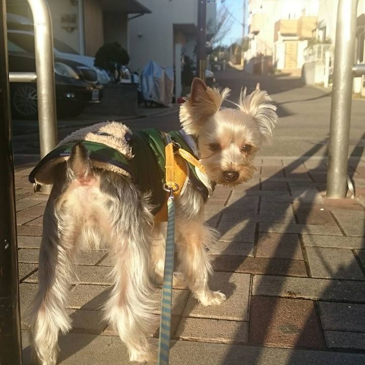 2f658ec5 db1e 478b 8a67 579627be10f4