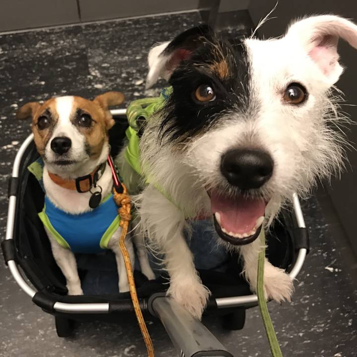 2f660e7a 8456 48d0 87e9 684874673e33