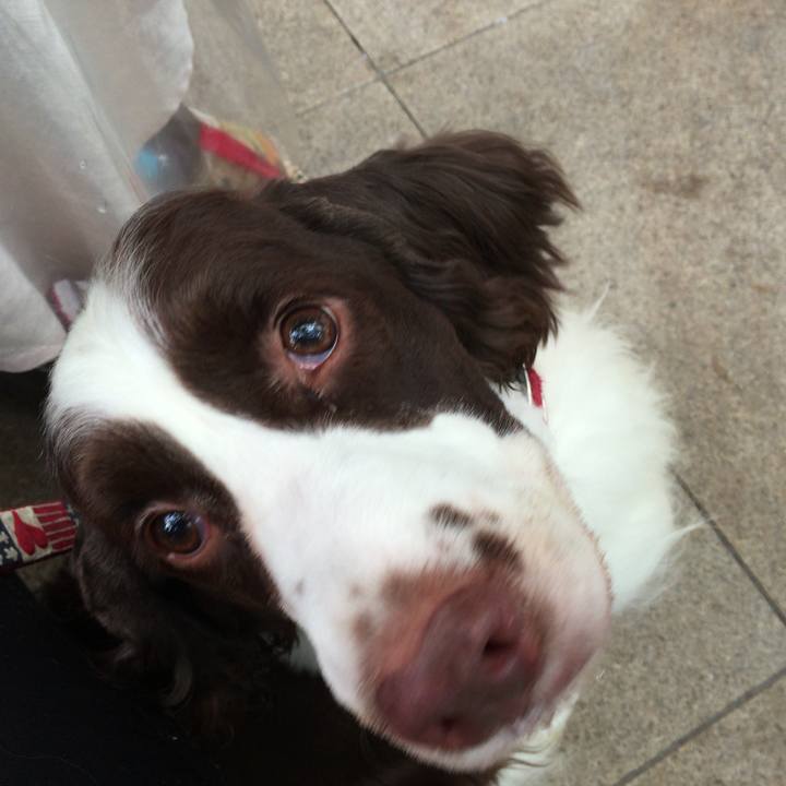 2f664315 8680 433e bb83 8ae33ed18aaf