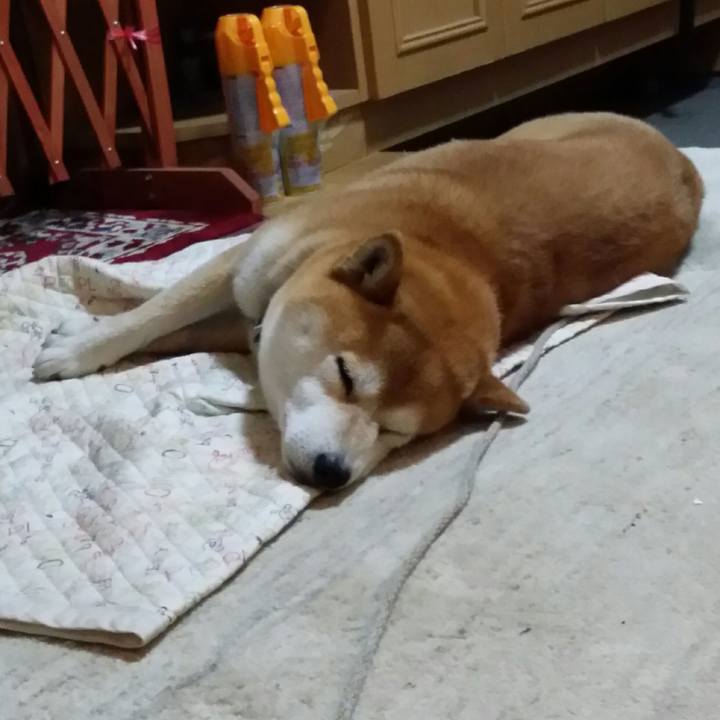 2f66533e 7291 4a14 b399 9b512689813a