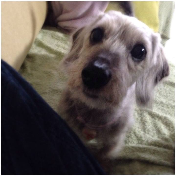 2f6744e7 968f 424c 82ac 09842e9daf13