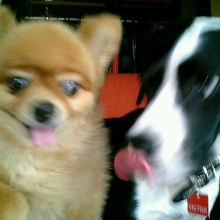 2f676292 5396 4828 9f13 4e03968b89af