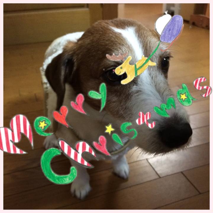 2f688b79 d1fb 44cd 87b9 adc6f4430bb7